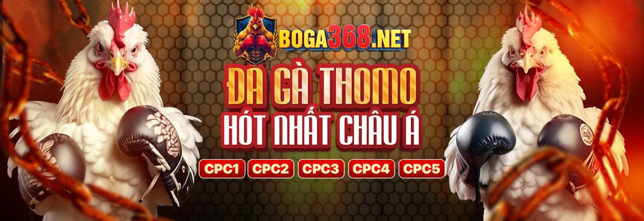 Ưu Đãi Chào Mừng Thành Viên Mới QH88B 2024